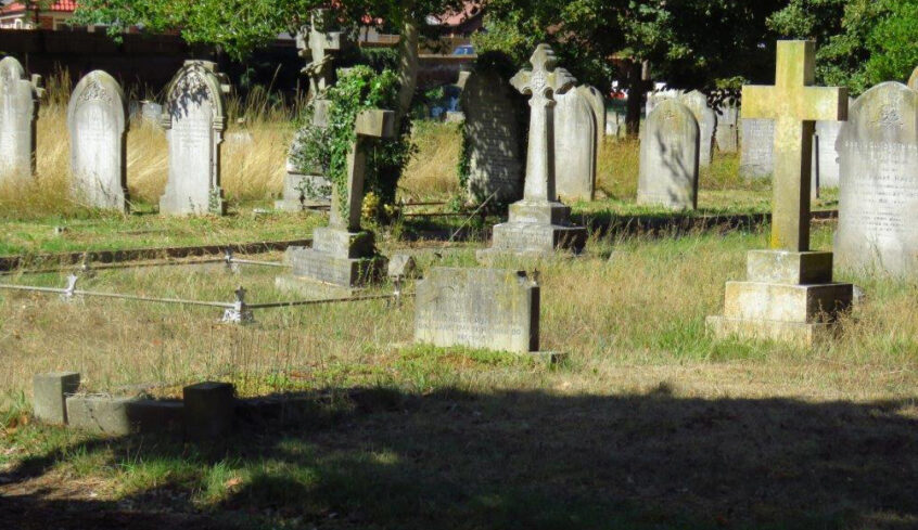 The grassland fungi of Wivenhoe’s New Cemetery | Chris Gibson Wildlife